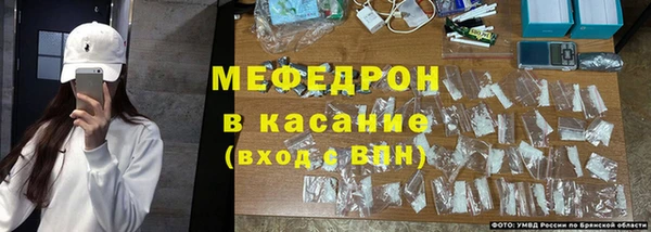 стафф Касимов